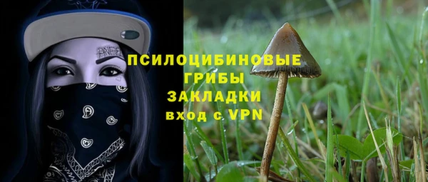 соль ск Балахна