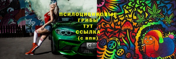 соль ск Балахна