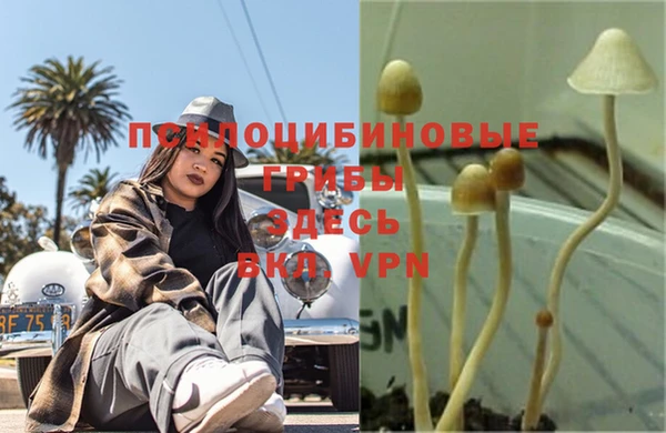 марки nbome Баксан