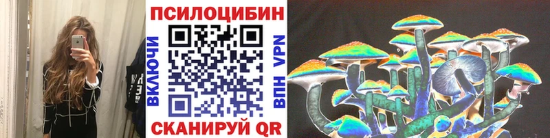 Галлюциногенные грибы Psilocybe Краснокамск